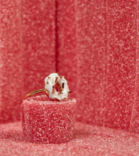 Load image into Gallery viewer, DONUT ICE GLAZED SPRINKLES WHITE RING