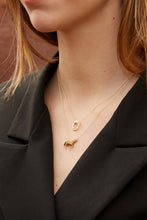 Load image into Gallery viewer, CABALLO CARAMEL NECKLACE
